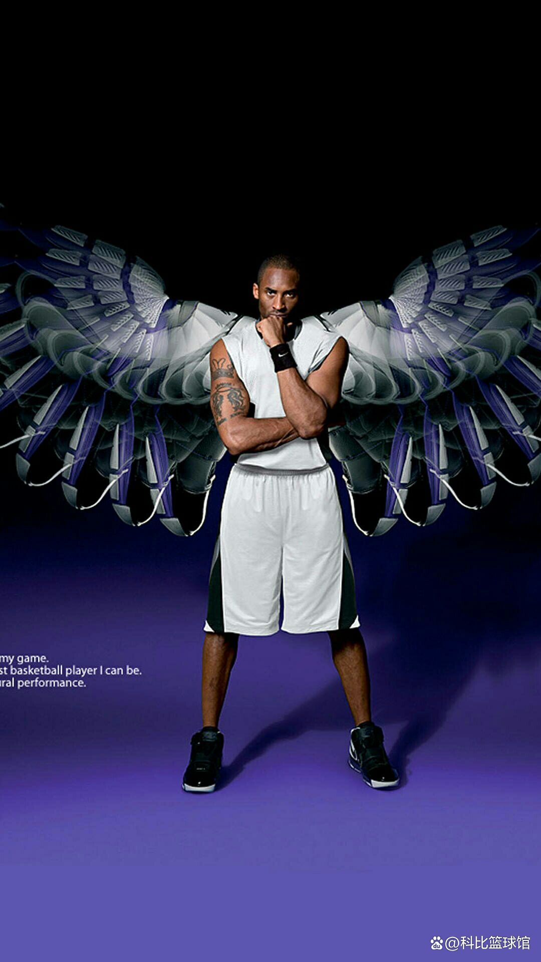 明观赛的理 明观赛的理