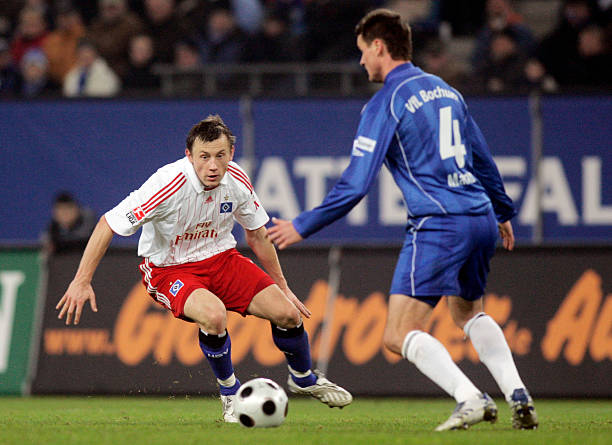 达尼洛等支 达尼洛等支